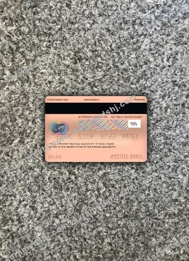 Egypt National bank mastercard photolook back